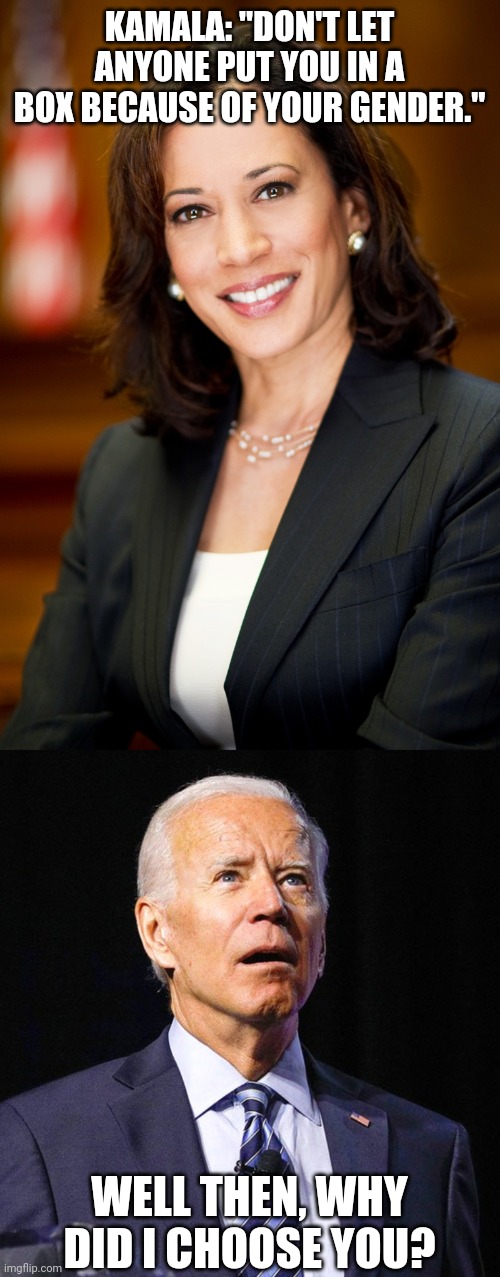 Affirmative Action-Elect says what? | KAMALA: "DON'T LET ANYONE PUT YOU IN A BOX BECAUSE OF YOUR GENDER."; WELL THEN, WHY DID I CHOOSE YOU? | image tagged in kamala harris,joe biden | made w/ Imgflip meme maker
