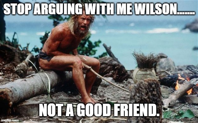 Wilson - Tom Hanks | STOP ARGUING WITH ME WILSON....... NOT A GOOD FRIEND. | image tagged in wilson - tom hanks | made w/ Imgflip meme maker