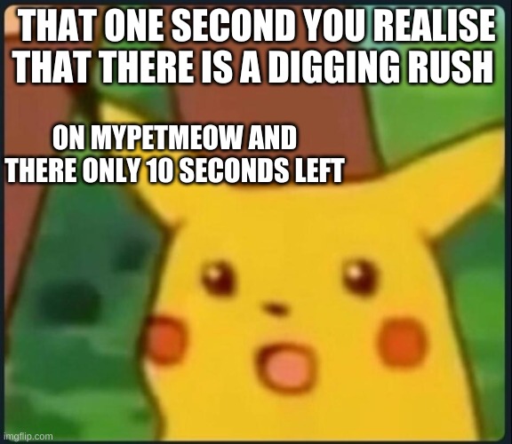 Oof | THAT ONE SECOND YOU REALISE THAT THERE IS A DIGGING RUSH; ON MYPETMEOW AND THERE ONLY 10 SECONDS LEFT | image tagged in surprised pikachu,mypetmeow | made w/ Imgflip meme maker