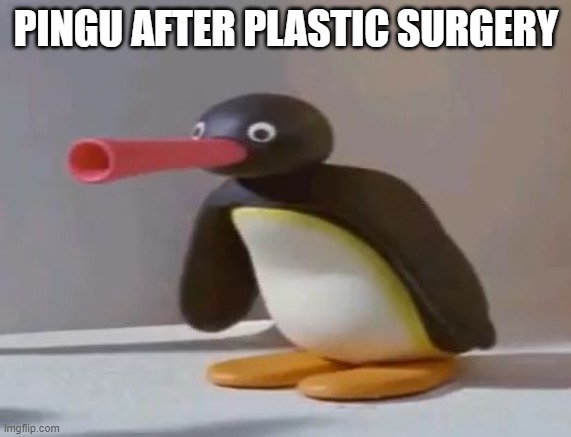 pingu | PINGU AFTER PLASTIC SURGERY | image tagged in pingu | made w/ Imgflip meme maker