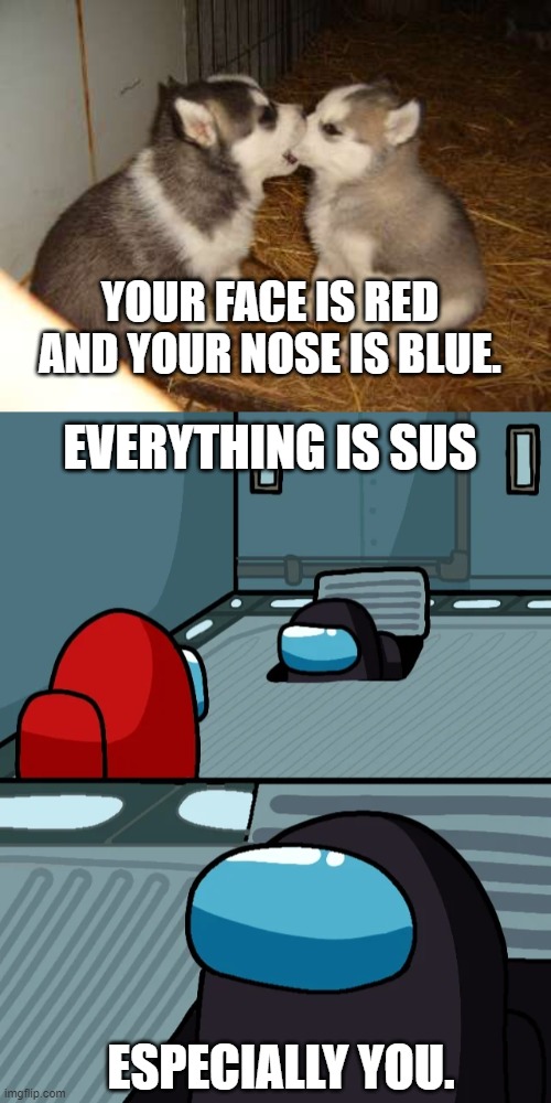 YOUR FACE IS RED AND YOUR NOSE IS BLUE. EVERYTHING IS SUS; ESPECIALLY YOU. | image tagged in memes,cute puppies,impostor of the vent | made w/ Imgflip meme maker