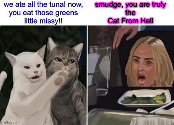 Tables. Turned. Mission. Accomplished. | we ate all the tuna! now,
you eat those greens
little missy!! smudge, you are truly
the
Cat From Hell | image tagged in cat yelling at woman,mission accomplished,goose sauce,turnabout,fair play,funny business | made w/ Imgflip meme maker