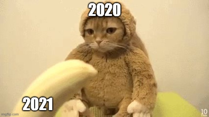 Monkey Cat | 2020; 2021 | image tagged in monkey cat | made w/ Imgflip meme maker