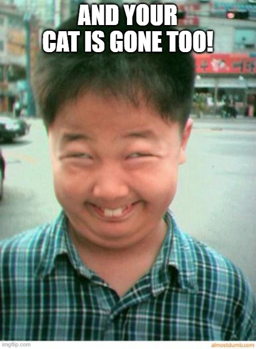 funny asian face | AND YOUR CAT IS GONE TOO! | image tagged in funny asian face | made w/ Imgflip meme maker