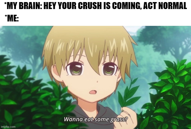 Exactly XD |  *MY BRAIN: HEY YOUR CRUSH IS COMING, ACT NORMAL; *ME: | image tagged in funny meme | made w/ Imgflip meme maker