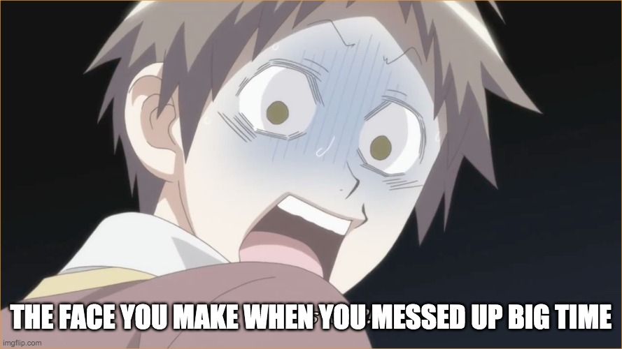 When you messed up | THE FACE YOU MAKE WHEN YOU MESSED UP BIG TIME | image tagged in messed up | made w/ Imgflip meme maker