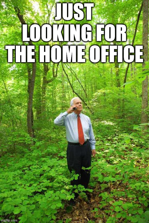 Lost in the Woods | JUST LOOKING FOR THE HOME OFFICE | image tagged in lost in the woods | made w/ Imgflip meme maker