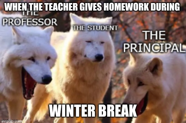 Teachers during winter break | WHEN THE TEACHER GIVES HOMEWORK DURING; WINTER BREAK | image tagged in school | made w/ Imgflip meme maker