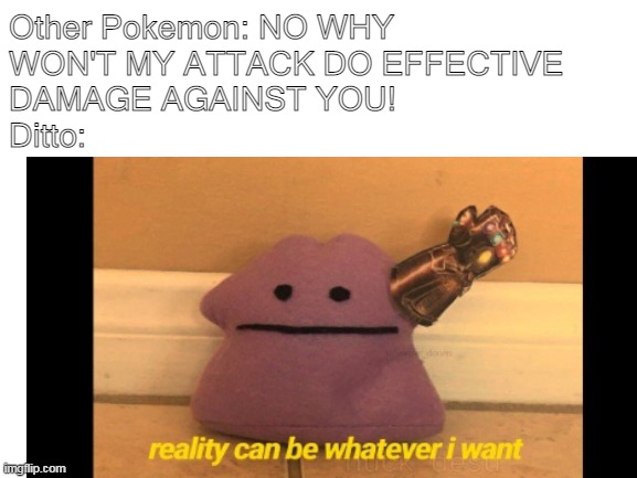 Ditto VS. the world | Other Pokemon: NO WHY WON'T MY ATTACK DO EFFECTIVE DAMAGE AGAINST YOU!                         
Ditto: | image tagged in reality can be whatever i want,ditto,pokemon | made w/ Imgflip meme maker