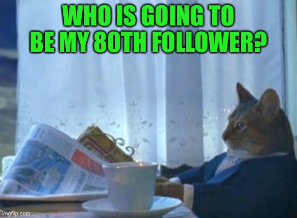 That cat really wants that follower | WHO IS GOING TO BE MY 80TH FOLLOWER? | image tagged in memes,i should buy a boat cat | made w/ Imgflip meme maker