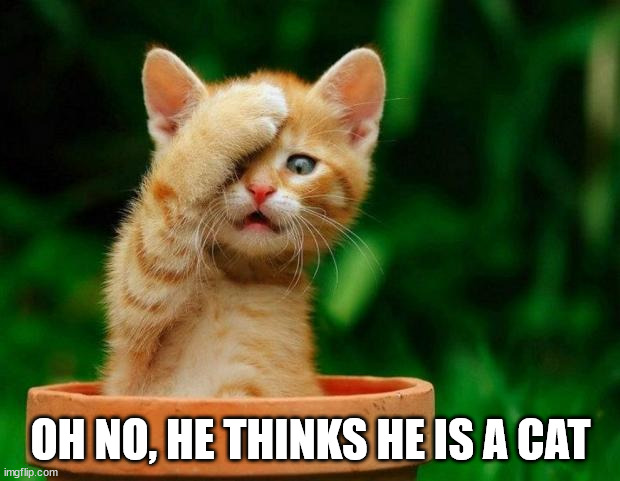 Cat Oh Man | OH NO, HE THINKS HE IS A CAT | image tagged in cat oh man | made w/ Imgflip meme maker