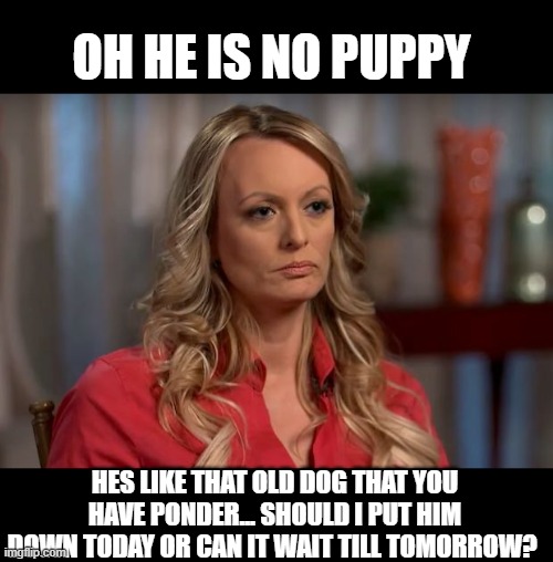 stormy daniels | OH HE IS NO PUPPY HES LIKE THAT OLD DOG THAT YOU HAVE PONDER... SHOULD I PUT HIM DOWN TODAY OR CAN IT WAIT TILL TOMORROW? | image tagged in stormy daniels | made w/ Imgflip meme maker