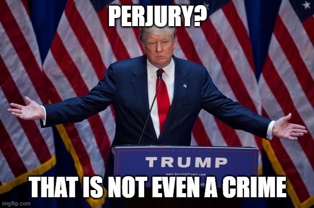 Donald Trump | PERJURY? THAT IS NOT EVEN A CRIME | image tagged in donald trump | made w/ Imgflip meme maker