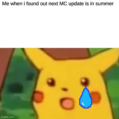 Surprised Pikachu Meme | Me when i found out next MC update is in summer | image tagged in memes,surprised pikachu | made w/ Imgflip meme maker