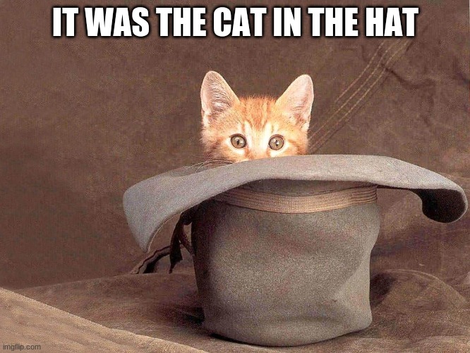 mr. cat | IT WAS THE CAT IN THE HAT | image tagged in funny memes,funny cats | made w/ Imgflip meme maker