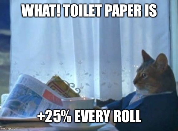 I Should Buy A Boat Cat | WHAT! TOILET PAPER IS; +25% EVERY ROLL | image tagged in memes,i should buy a boat cat | made w/ Imgflip meme maker