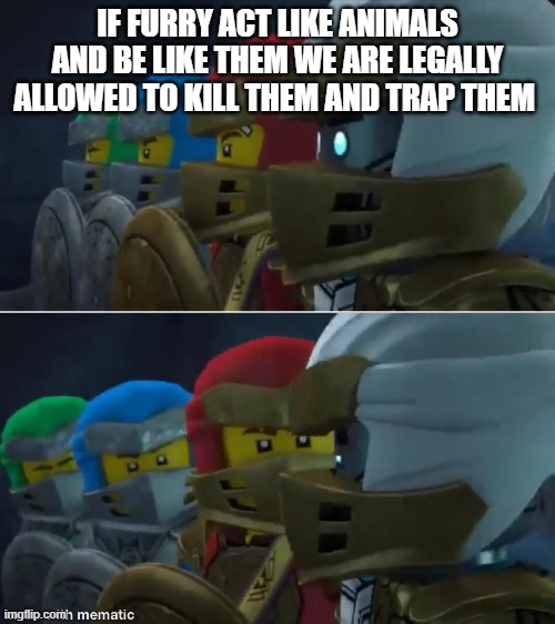 Ninjago reaction | IF FURRY ACT LIKE ANIMALS AND BE LIKE THEM WE ARE LEGALLY ALLOWED TO KILL THEM AND TRAP THEM | image tagged in ninjago reaction | made w/ Imgflip meme maker