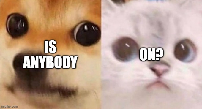 scared cat and scared dog | IS ANYBODY; ON? | image tagged in scared cat and scared dog | made w/ Imgflip meme maker