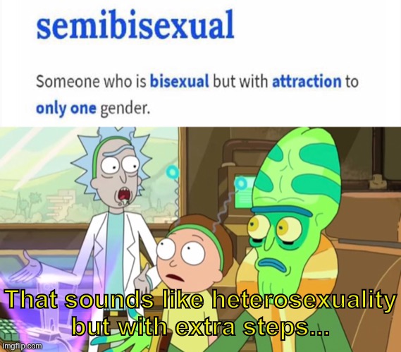 What? | That sounds like heterosexuality but with extra steps... | image tagged in that sounds like simping but with extra steps,memes,bruh,bruh moment,urban dictionary,are you sure about that cena | made w/ Imgflip meme maker