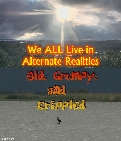 We ALL Live in
Alternate Realities | made w/ Imgflip meme maker