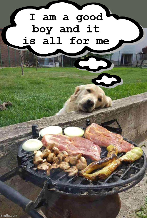 I am a good boy and it is all for me | image tagged in dogs | made w/ Imgflip meme maker