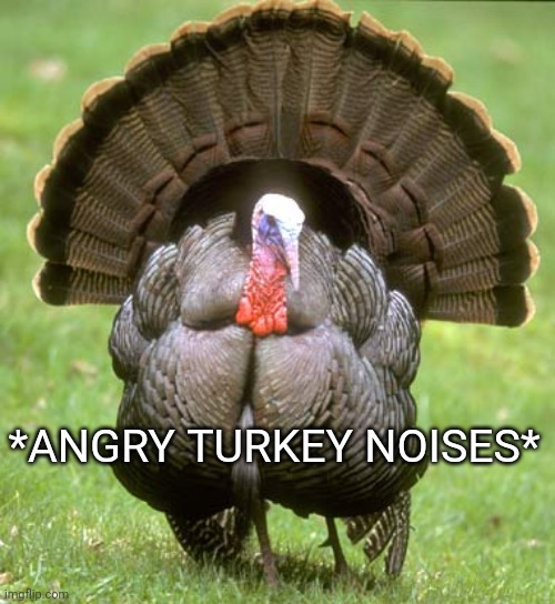 Turkey Meme | *ANGRY TURKEY NOISES* | image tagged in memes,turkey | made w/ Imgflip meme maker