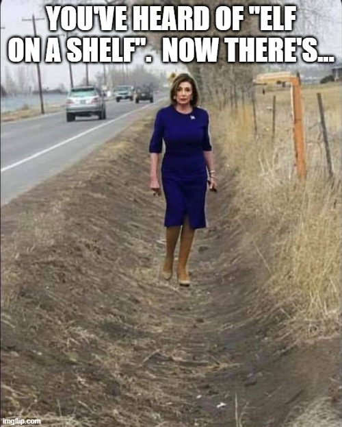 YOU'VE HEARD OF "ELF ON A SHELF".  NOW THERE'S... | image tagged in pelosi,political meme | made w/ Imgflip meme maker