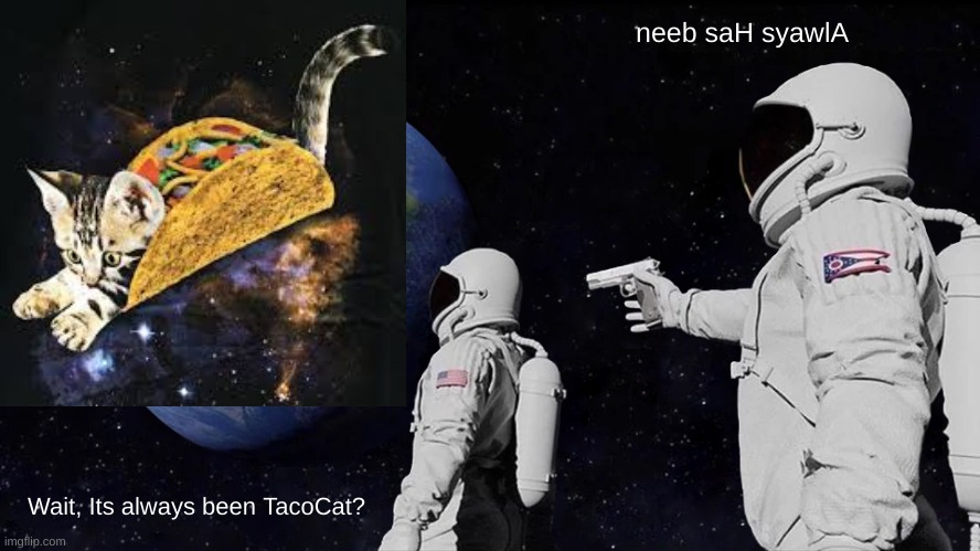 Poorly Cropped TacoCat | neeb saH syawlA; Wait, Its always been TacoCat? | image tagged in memes,always has been | made w/ Imgflip meme maker