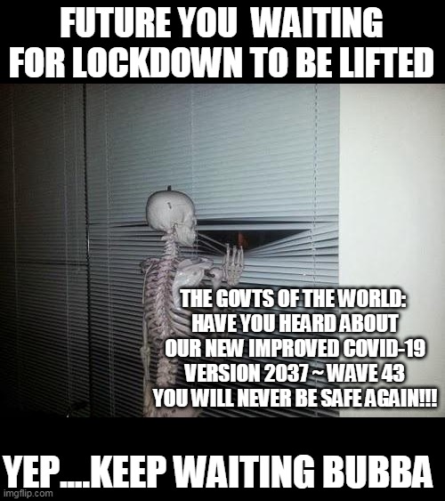 SAYS HUMANS LIKE HAVING MORE POWER OVER OTHERS = CONSPIRACY THEORIST | FUTURE YOU  WAITING FOR LOCKDOWN TO BE LIFTED; THE GOVTS OF THE WORLD: 
HAVE YOU HEARD ABOUT OUR NEW IMPROVED COVID-19 VERSION 2037 ~ WAVE 43
YOU WILL NEVER BE SAFE AGAIN!!! YEP....KEEP WAITING BUBBA | image tagged in skeleton looking out window | made w/ Imgflip meme maker
