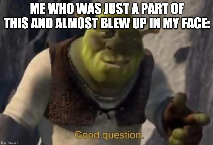 Shrek good question | ME WHO WAS JUST A PART OF THIS AND ALMOST BLEW UP IN MY FACE: | image tagged in shrek good question | made w/ Imgflip meme maker