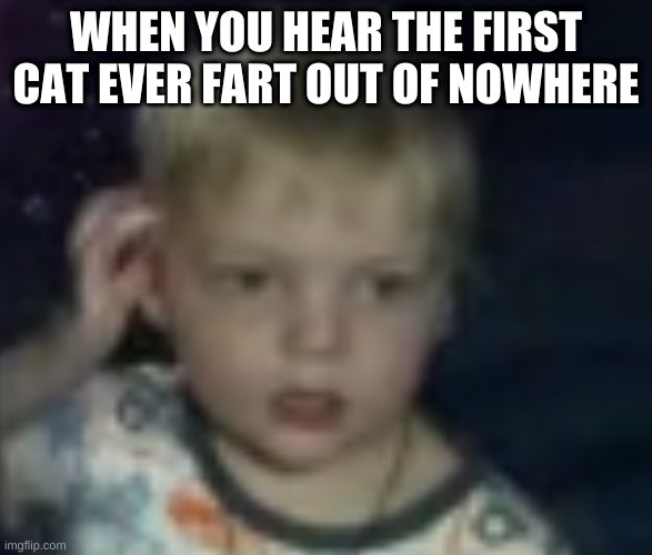 confused | WHEN YOU HEAR THE FIRST CAT EVER FART OUT OF NOWHERE | image tagged in confused | made w/ Imgflip meme maker