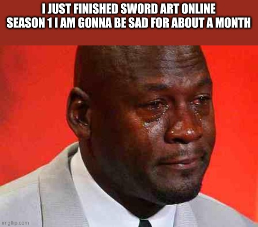 that is a great ending :) |  I JUST FINISHED SWORD ART ONLINE SEASON 1 I AM GONNA BE SAD FOR ABOUT A MONTH | image tagged in crying michael jordan,sword art online,anime | made w/ Imgflip meme maker