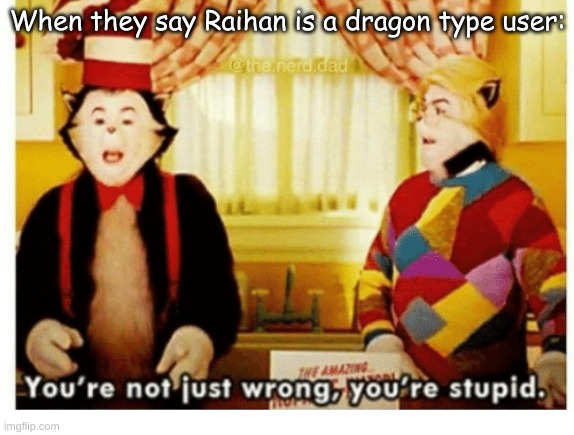 You're not just wrong your stupid | When they say Raihan is a dragon type user: | image tagged in you're not just wrong your stupid | made w/ Imgflip meme maker