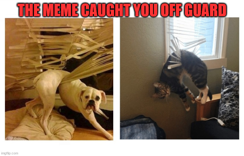 caught up | THE MEME CAUGHT YOU OFF GUARD | image tagged in caught up | made w/ Imgflip meme maker