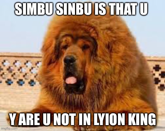 Hdodk | SIMBU SINBU IS THAT U; Y ARE U NOT IN LYION KING | image tagged in hide the pain harold | made w/ Imgflip meme maker