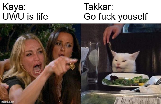 Woman Yelling At Cat Meme | Kaya: 
UWU is life; Takkar: 
Go fuck youself | image tagged in memes,woman yelling at cat | made w/ Imgflip meme maker