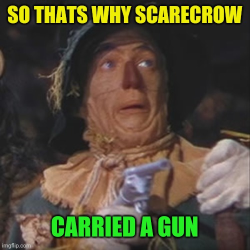 Scarecrow with gun | SO THATS WHY SCARECROW CARRIED A GUN | image tagged in scarecrow with gun | made w/ Imgflip meme maker