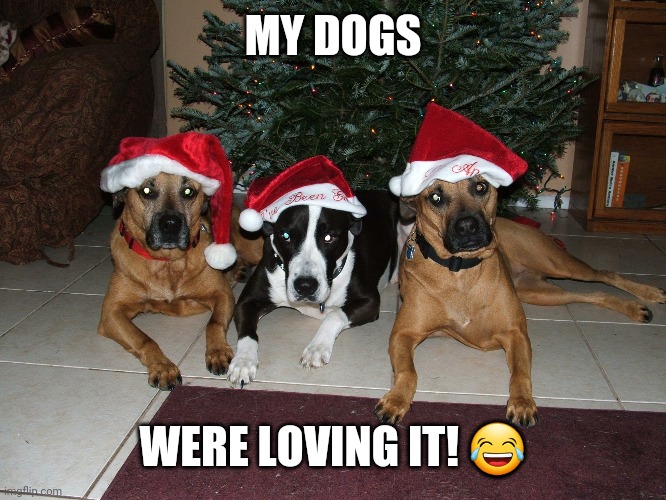 MY DOGS WERE LOVING IT! ? | made w/ Imgflip meme maker