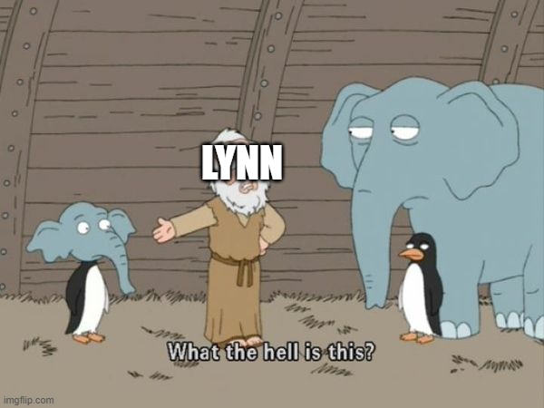 What the hell is this? | LYNN | image tagged in what the hell is this | made w/ Imgflip meme maker