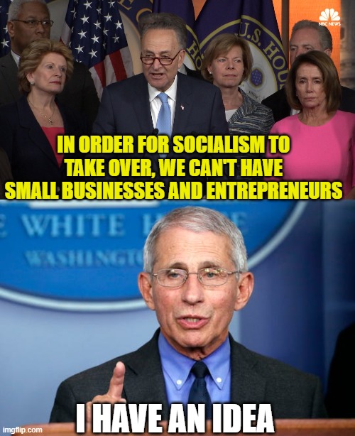 IN ORDER FOR SOCIALISM TO TAKE OVER, WE CAN'T HAVE SMALL BUSINESSES AND ENTREPRENEURS; I HAVE AN IDEA | image tagged in democrat congressmen,dr fauci | made w/ Imgflip meme maker