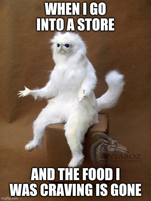 Persian Cat Room Guardian Single | WHEN I GO INTO A STORE; AND THE FOOD I WAS CRAVING IS GONE | image tagged in memes,persian cat room guardian single | made w/ Imgflip meme maker