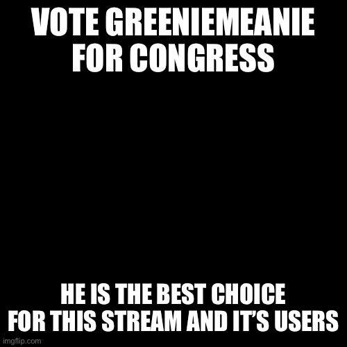 Vote for GreenieMeanie | VOTE GREENIEMEANIE FOR CONGRESS; HE IS THE BEST CHOICE FOR THIS STREAM AND IT’S USERS | image tagged in black blank,vote,greenie,meanie | made w/ Imgflip meme maker