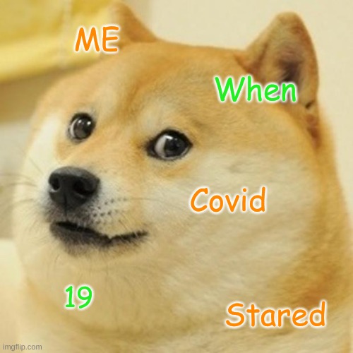 Doge Meme | ME; When; Covid; 19; Stared | image tagged in memes,doge | made w/ Imgflip meme maker