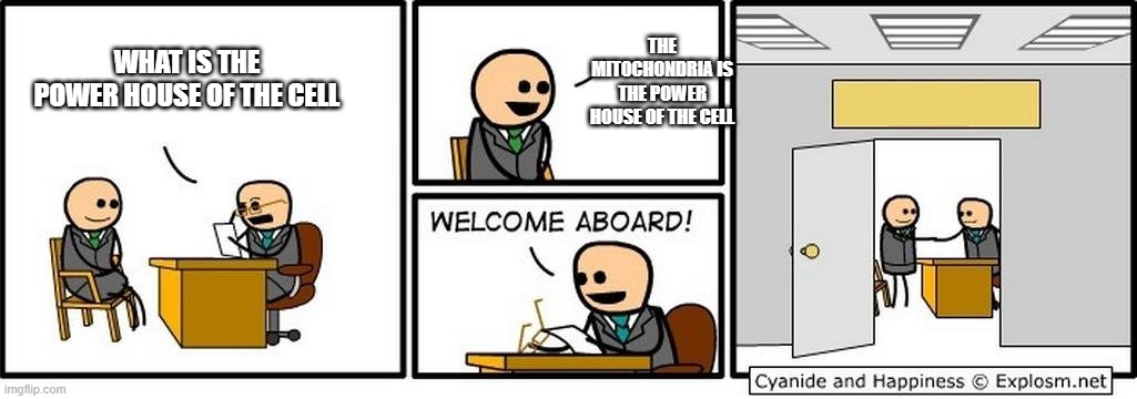 When the | THE MITOCHONDRIA IS THE POWER HOUSE OF THE CELL; WHAT IS THE POWER HOUSE OF THE CELL | image tagged in money | made w/ Imgflip meme maker