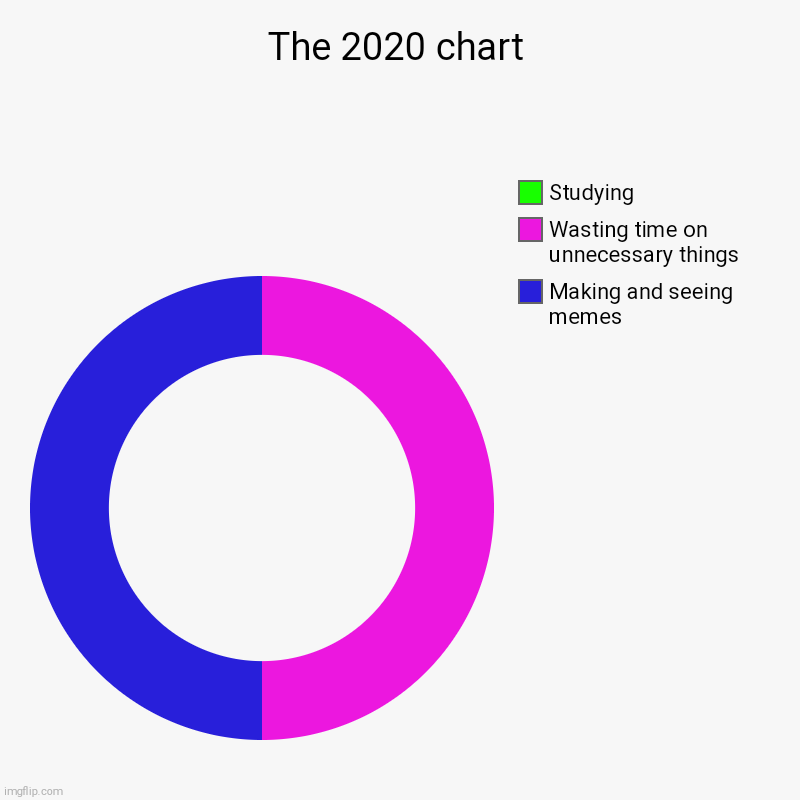 What I did in 2020 | The 2020 chart | Making and seeing memes, Wasting time on unnecessary things, Studying | image tagged in charts,donut charts | made w/ Imgflip chart maker