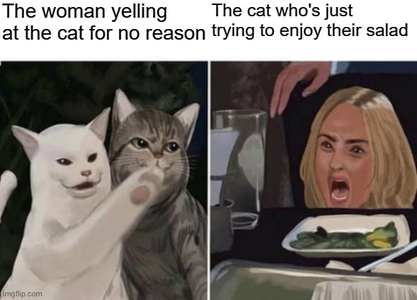 Cat yelling at woman | The woman yelling at the cat for no reason; The cat who's just trying to enjoy their salad | image tagged in cat yelling at woman,memes | made w/ Imgflip meme maker
