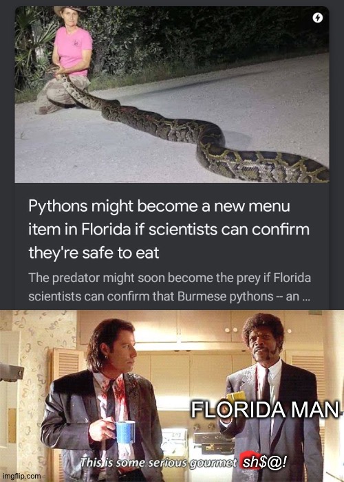 Why would you ever want to eat Python? | FLORIDA MAN; sh$@! | image tagged in this is some serious gourmet shit,florida man,this is not okie dokie,memes | made w/ Imgflip meme maker
