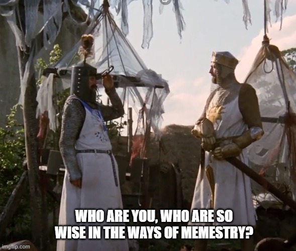 who are you so wise | WHO ARE YOU, WHO ARE SO WISE IN THE WAYS OF MEMESTRY? | image tagged in monty python,memes | made w/ Imgflip meme maker