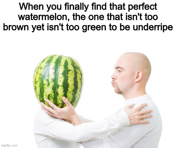 When you finally find that perfect watermelon, the one that isn't too brown yet isn't too green to be underripe | image tagged in memes | made w/ Imgflip meme maker