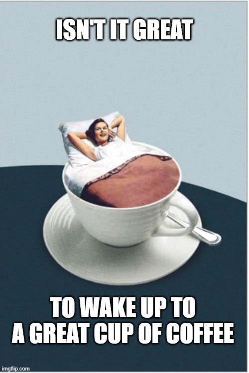 Great cup of Coffee | ISN'T IT GREAT; TO WAKE UP TO A GREAT CUP OF COFFEE | image tagged in coffee,wakeup,morning | made w/ Imgflip meme maker